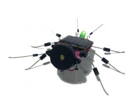Solar bug